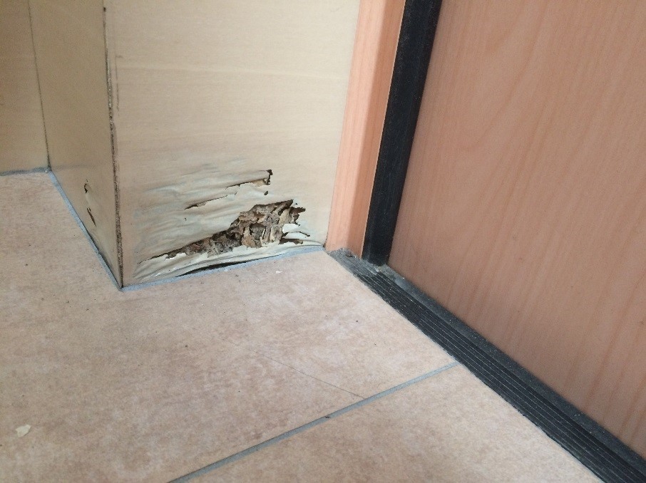 家を食べちゃう アフターメンテナンス 新築戸建て 分譲住宅の知って得する情報ブログ 家を食べちゃう アフターメンテナンス 新築戸建て 分譲住宅の知って得する情報ブログ